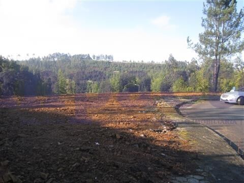 Terreno com 936m2 Oliveira de Azeméis