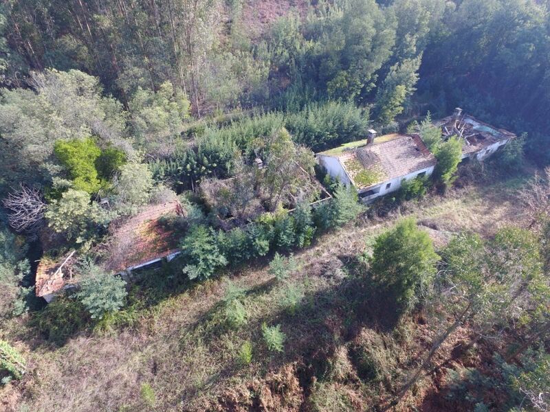 Farm Oliveira de Azeméis - green areas