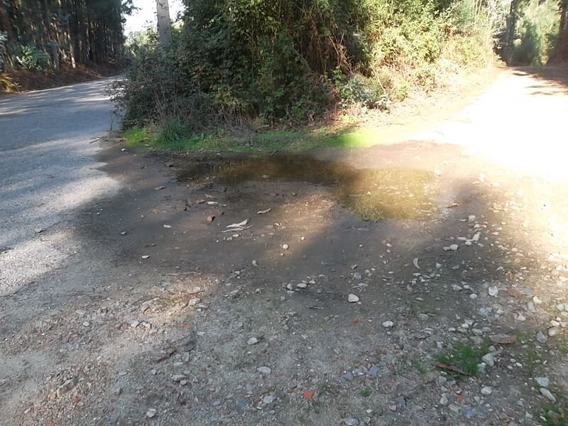 Terreno Agrícola com 7000m2 Macieira de Sarnes Oliveira de Azeméis