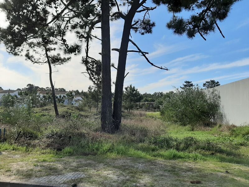 Land with 726sqm Torreira Murtosa