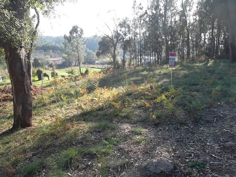 Land in residential area Oliveira de Azeméis - construction viability