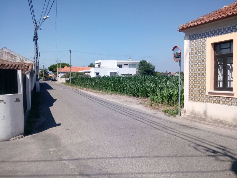 Terreno Rústico com 4290m2 Pardilhó Estarreja