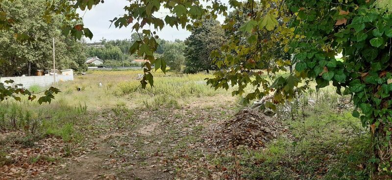 Terreno para construção São Roque Oliveira de Azeméis - bons acessos