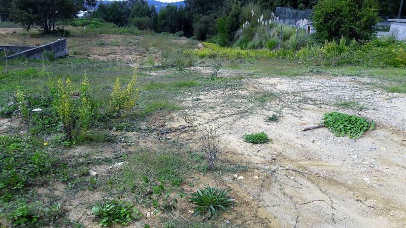 Land for construction Oliveira de Azeméis - construction viability