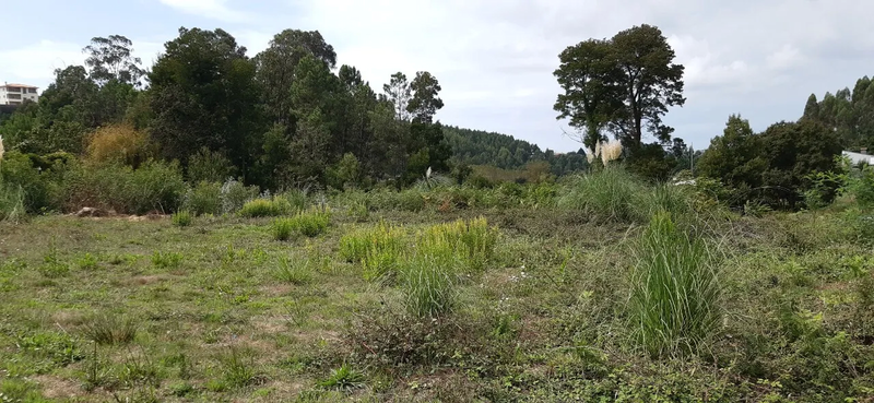 Land for construction São Roque Oliveira de Azeméis