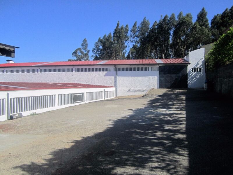 Warehouse with 2300sqm Vila de Cucujães Oliveira de Azeméis