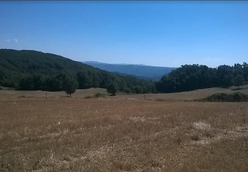 Land with 1498sqm Vilar de Ossos Vinhais