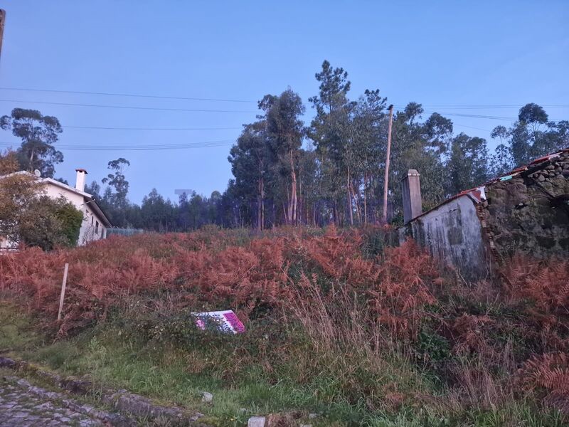 Terreno Rústico com 1200m2 Escariz Arouca