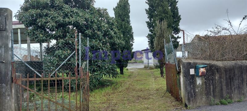 Terreno Agrícola com 4433m2 Maiorca Figueira da Foz - poço, viabilidade de construção