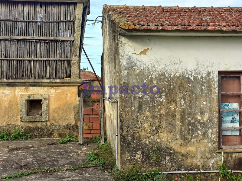 House 3 bedrooms Oliveira de Azeméis - backyard, garden