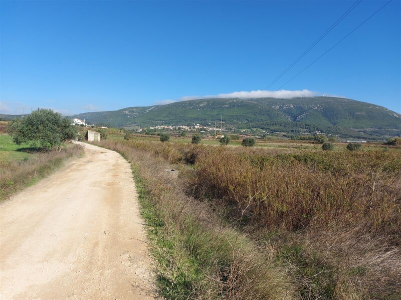 Terreno Rústico com 6440m2 Alenquer - bons acessos