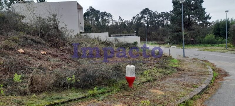 Plot of land Urban for construction Oliveira de Azeméis