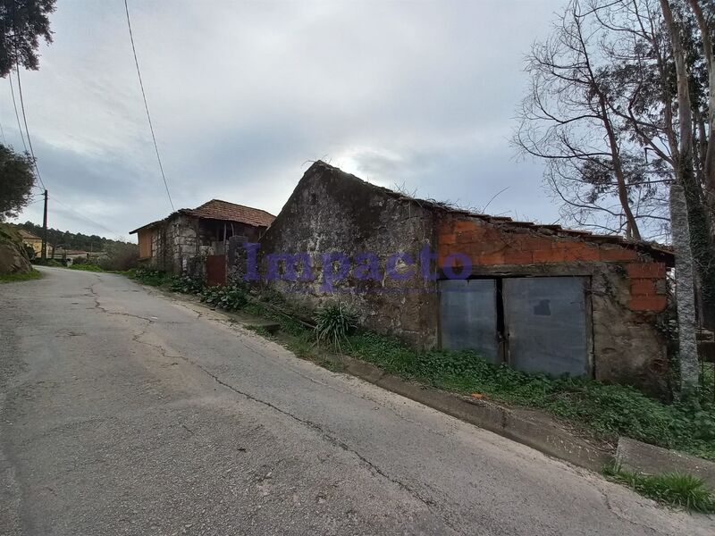 House V3 in ruins Escariz Arouca