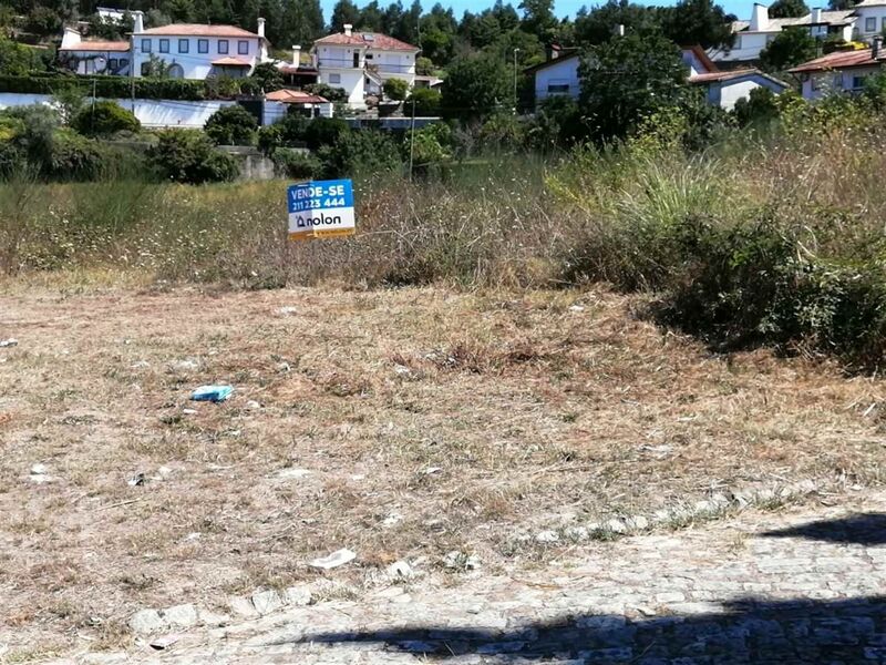 Land with 5361sqm Oliveira de Azeméis