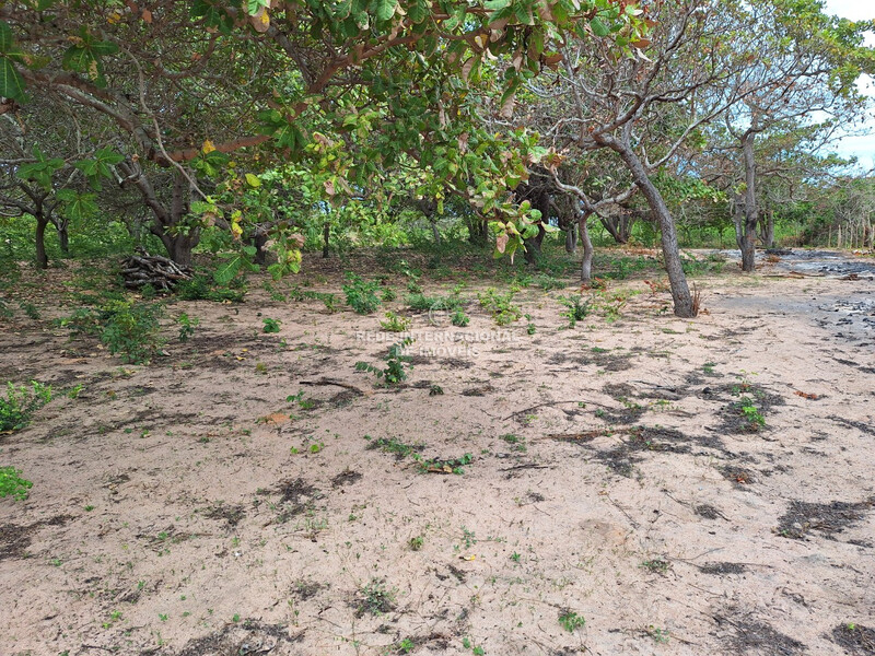 Terreno novo com 50m2 Chorozinho