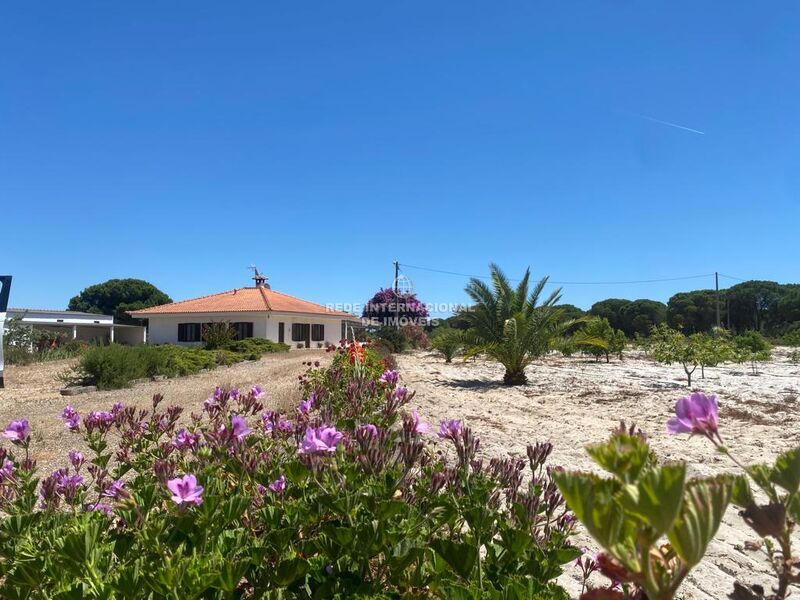 House/Villa 3 bedrooms Typical Torrão Alcácer do Sal - automatic irrigation system, garden, quiet area, fireplace, equipped kitchen, swimming pool