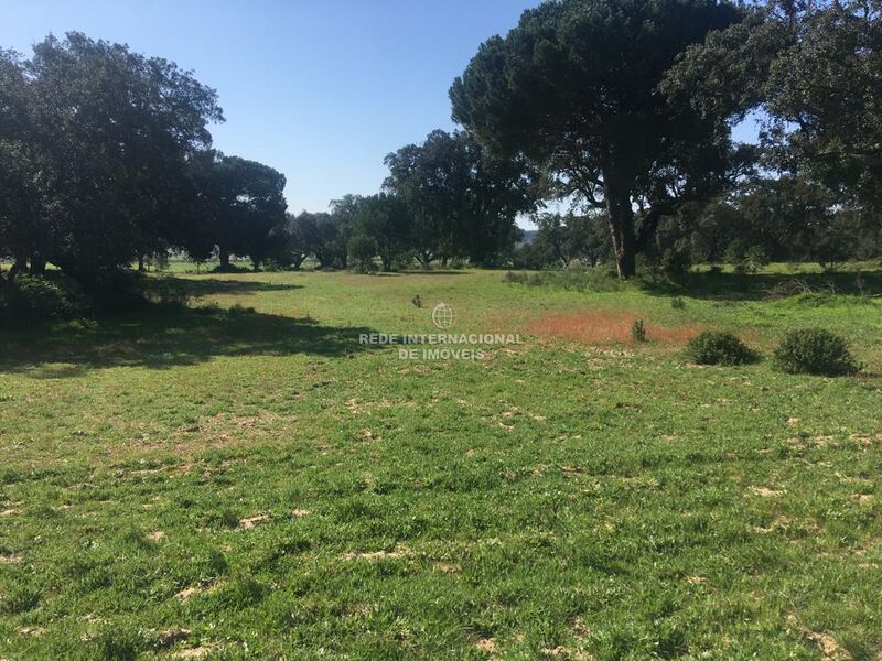 Quinta/Herdade V0 Marateca Palmela - sobreiros