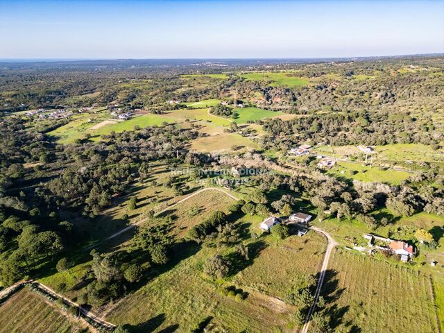 Chácara/Sítio/Fazenda para recuperar V0 Santiago do Cacém - água, poço, sobreiros