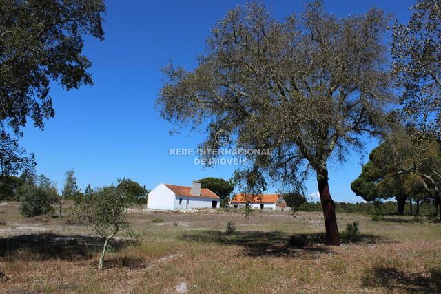 Homestead 0 bedrooms Grândola - cork oaks