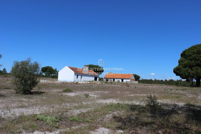 Homestead V0 Grândola - cork oaks