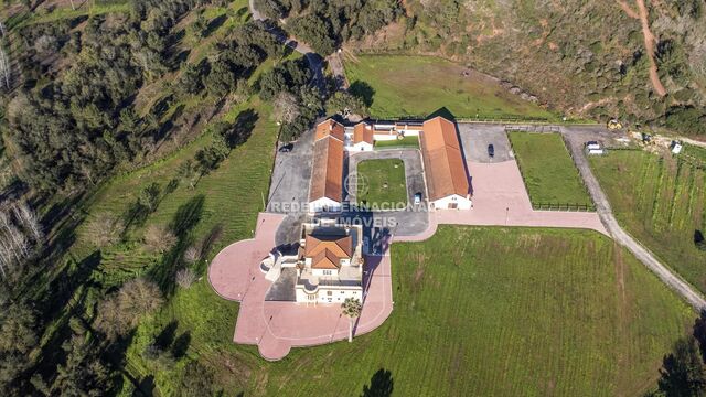 Farm V8 Dois Portos Torres Vedras - water, electricity, well, olive trees