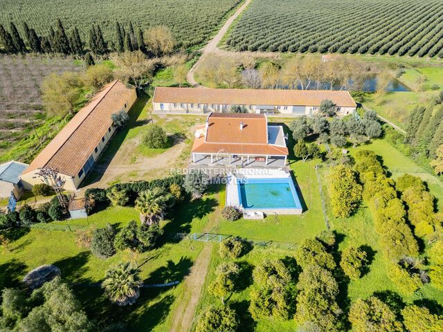 Farm V3 nueva Beja - electricity, double glazing, tank, swimming pool, garden, tiled stove, equipped, water, water hole, garage, fruit trees, fireplace, olive trees, air conditioning, orange trees, terrace