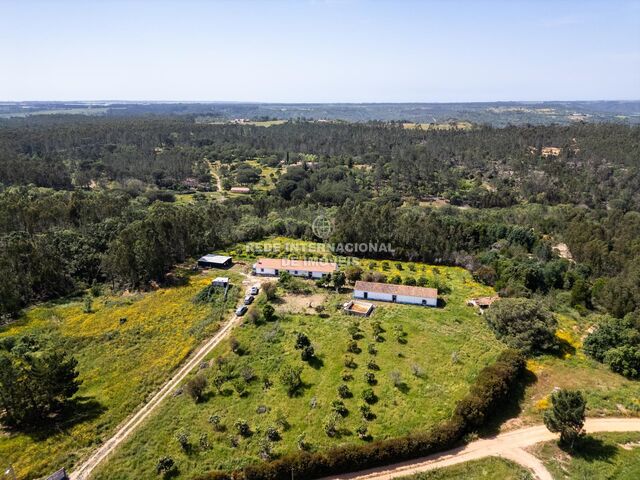 Farm V3 São Salvador e Santa Maria Odemira - cork oaks, tank, olive trees, swimming pool