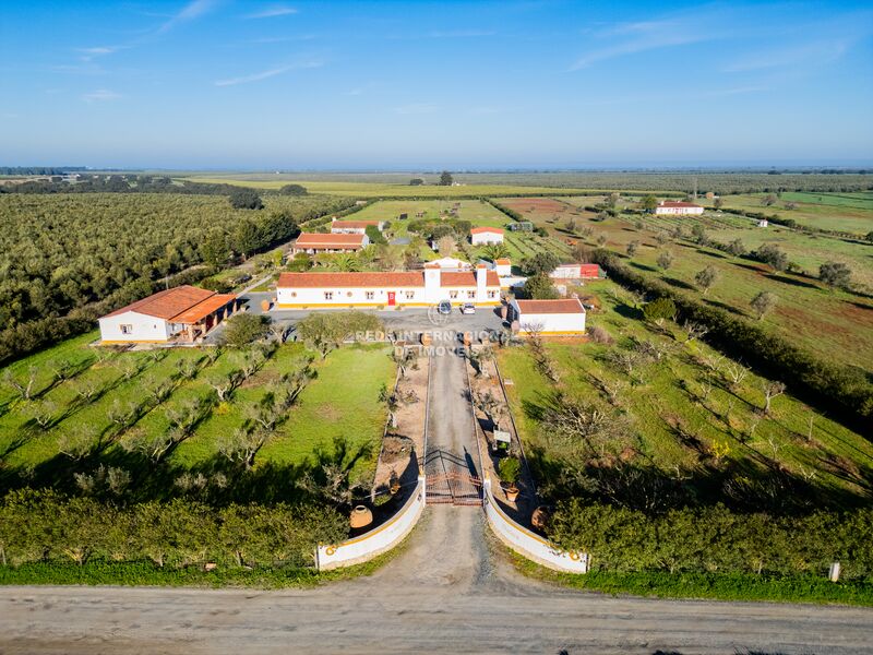 Farm Ferreira do Alentejo - swimming pool, barbecue, fireplace, equipped, air conditioning, garden, cork oaks