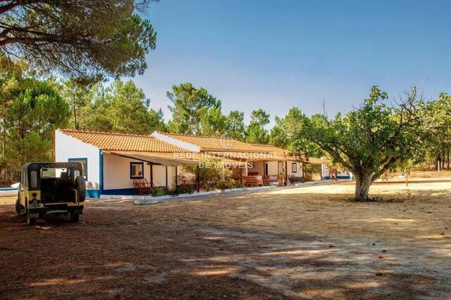 Farm neues V6 Melides Grândola - water, tennis court, cork oaks, garden, green areas, swimming pool, air conditioning, fireplace, well, olive trees