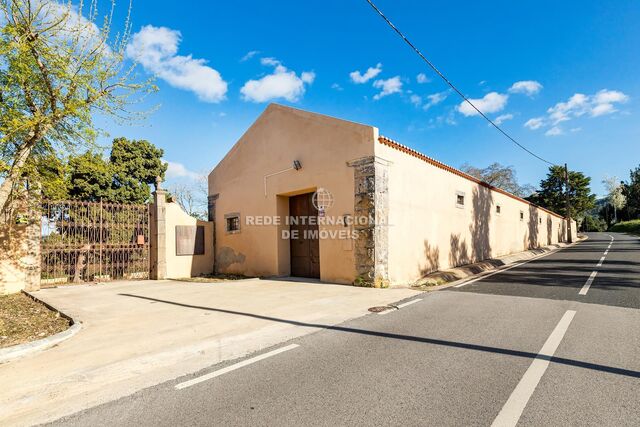 Farm 0 bedrooms Torres Vedras - equipped, garden, water hole