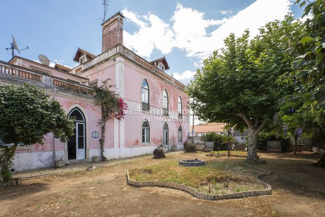 House in the center Santarém - fireplace, terrace, gardens