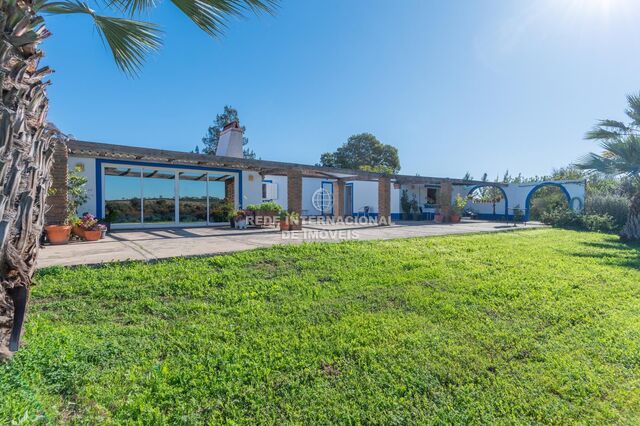 Homestead Azinheira dos Barros Grândola - barbecue, water, fireplace, cowshed, garden, air conditioning, terrace, water hole, swimming pool, well