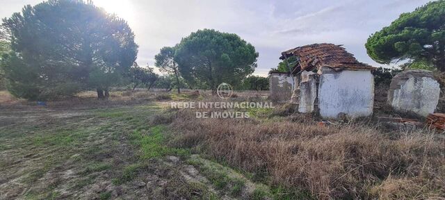 Small farm 0 bedrooms água Derramada Grândola - arable crop, water hole, well, excellent access, cork oaks