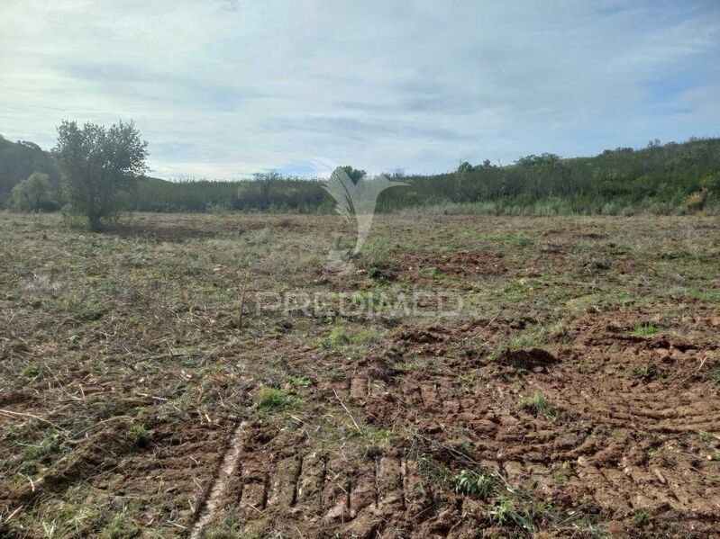 Land with 280000sqm Portimão - solar panels