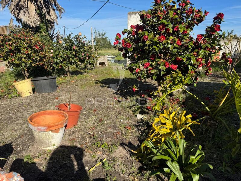 House 2 bedrooms Gâmbia-Pontes-Alto da Guerra Setúbal - garden