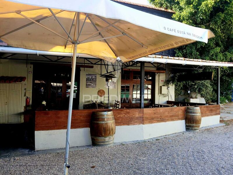 Restaurante bem localizado Cartaxo - cozinha