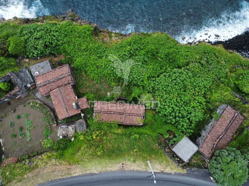 Ruine Modern V2 São Caetano Madalena