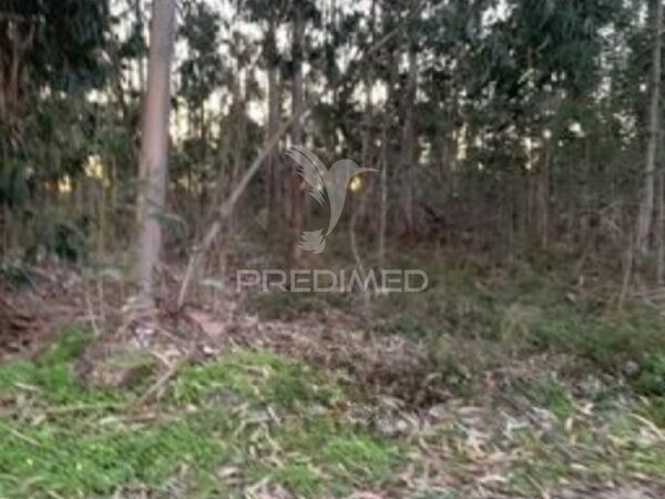 Land Rustic with 4150sqm Vilarinho do Bairro Anadia