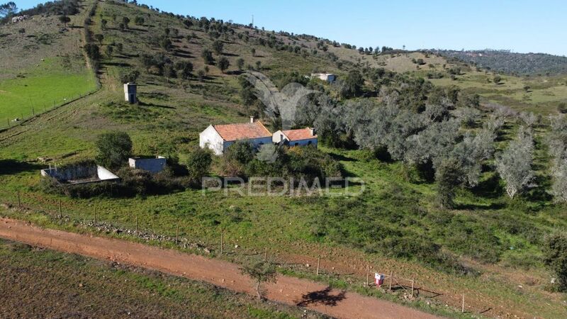 Farm 5 bedrooms Cercal Santiago do Cacém - sea view, water, water hole, sea view, fruit trees