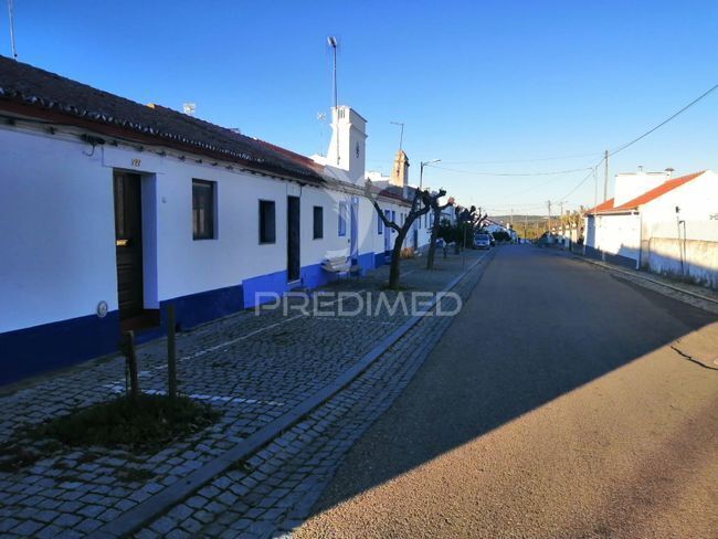 House 2 bedrooms Typical Igrejinha Arraiolos - backyard