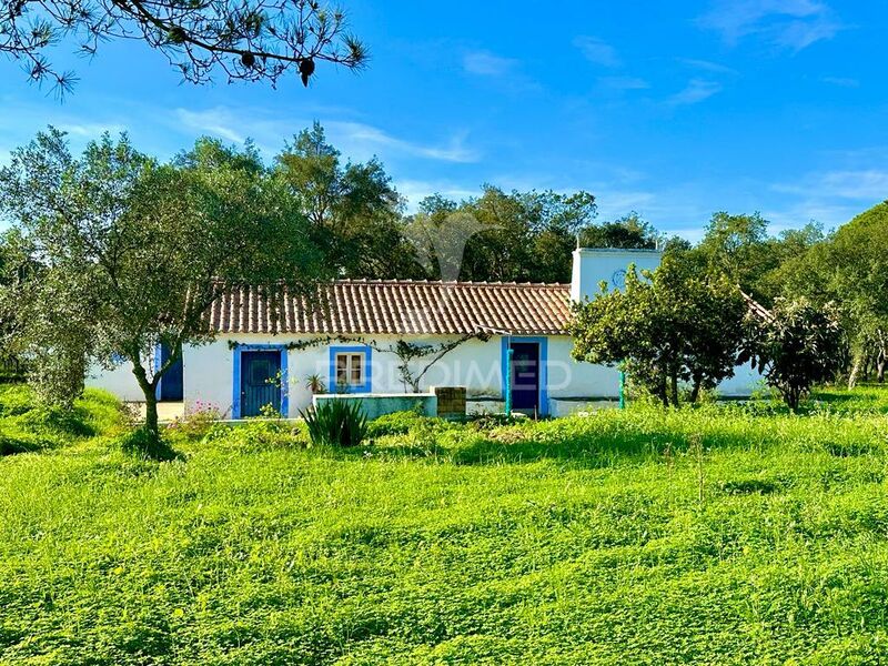 Terreno plano Melides Grândola - vista mar