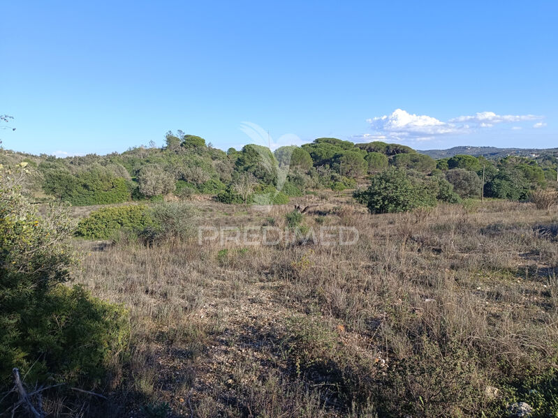 Terreno Rústico com 6280m2 Paderne Albufeira - cultura arvense, electricidade, água da rede