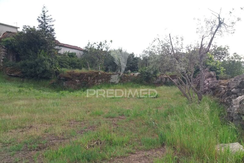 Land with 4600sqm Mangualde - ,