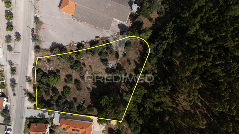 Terreno com 4534m2 Fátima Ourém