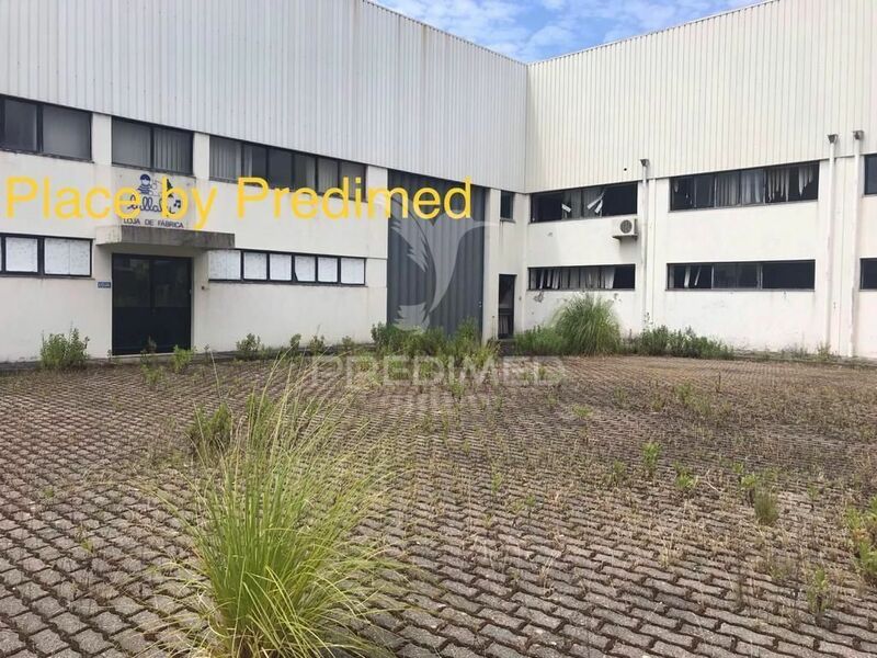 Warehouse Industrial in industrial zone Milheirós Maia - reception