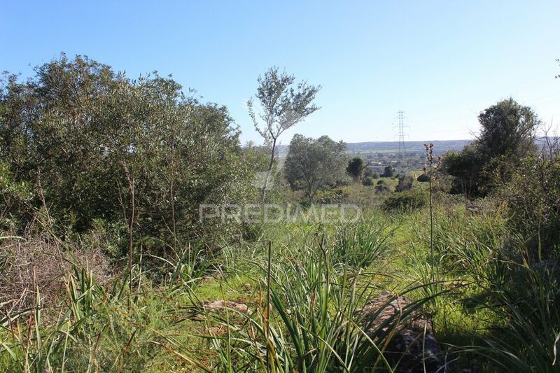 Land Urban with 8320sqm Silves