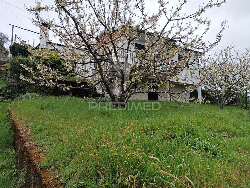 House 2 bedrooms Penajóia Lamego