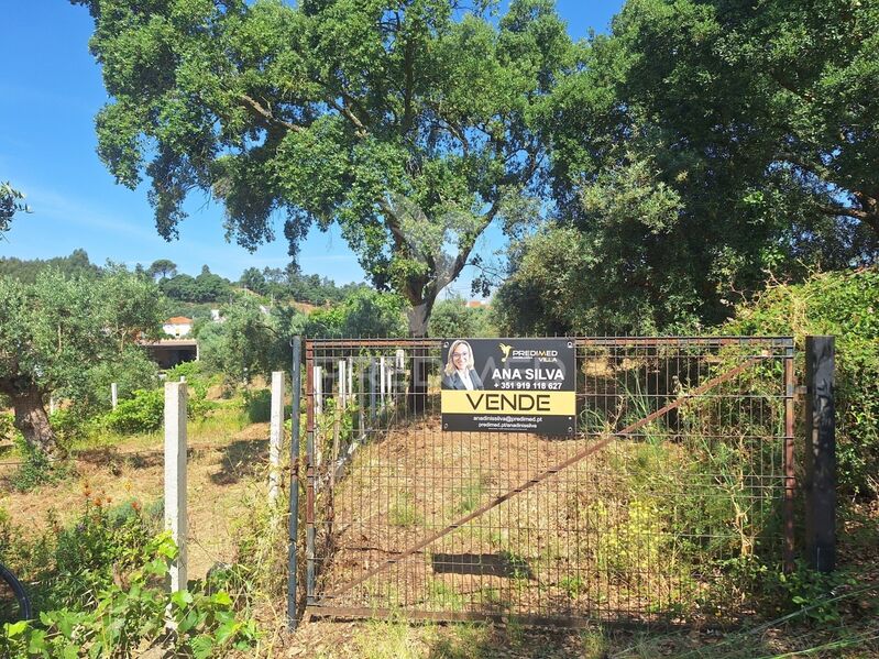 Terreno Rústico com 8800m2 Praia do Ribatejo Vila Nova da Barquinha - viabilidade de construção, oliveiras, laranjeiras, electricidade, furo, sobreiros