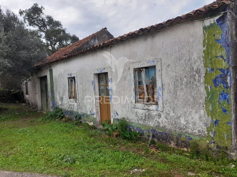 Casa Antiga bem localizada V5 Alcanede Santarém - jardim