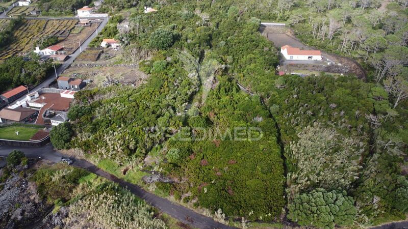 Land with 6873sqm São Caetano Madalena - sea view